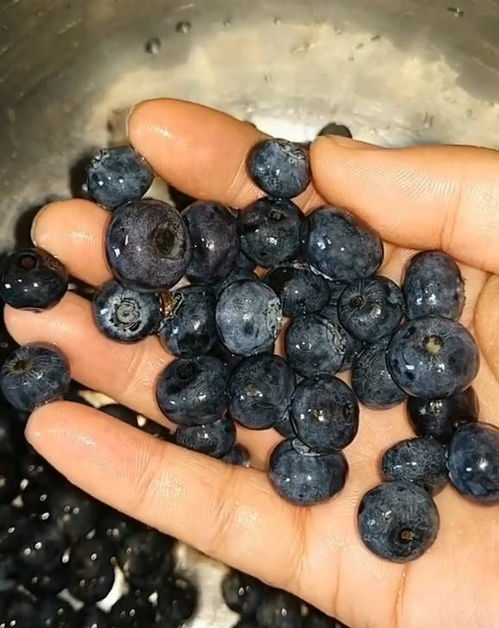 蓝莓饮品,朋友们你们学会了吗