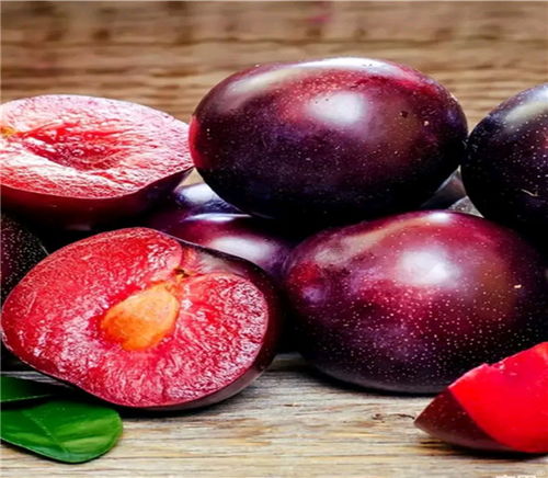 【秋凌李子苗、秋凌李子苗价格多少钱一棵】- 