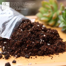 多肉植物育苗栽培营养种植土 含进口泥炭土 堆糖,美图壁纸兴趣社区
